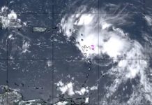 Tormenta Laura entrará por la provincia La Altagracia: ANAMET