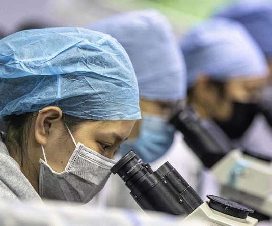 En 4 semanas Salud Pública reporta 146 muertes por coronavirus, sólo una en los últimos dos días;