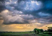 MEDITACIÓN DIARIA Cómo escuchar la Palabra de Dios