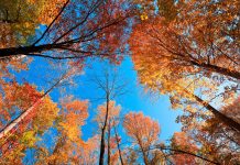MEDITACIÓN DIARIA La toma de decisiones a la manera de Dios