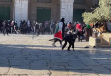 Cientos de heridos y detenidos en enfrentamientos en la Explanada de las Mezquitas