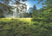MEDITACIÓN DIARIA Cómo convertirnos en un pueblo generoso