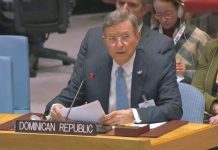 Canciller RD urge a ONU el envío de una fuerza multinacional a Haití