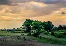 MEDITACIÓN DIARIA El camino a la vida eterna