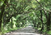 MEDITACIÓN DIARIA Sembrar semillas espirituales