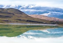 MEDITACIÓN DIARIA Libres para vivir