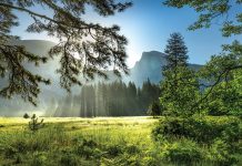 MEDITACIÓN DIARIA La salvación: Una bendición continua