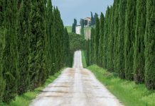 MEDITACIÓN DIARIA Deléitese en la abundancia