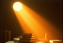 “Vuelve a la luz – No estás solo”