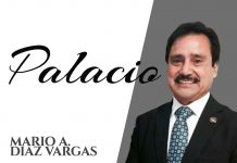 PALACIO : Le falta más al Operativo Enjambre
