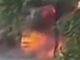 La Pareidolia nos ayuda a eliminar prejuicios. Mira por qué